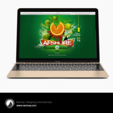 طراحی گرافیک وب سایت افشره