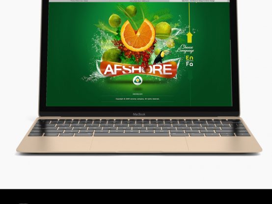 طراحی گرافیک وب سایت افشره