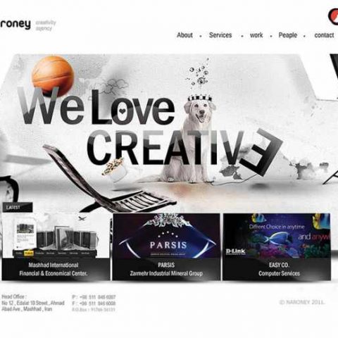 وب سایت نارونی