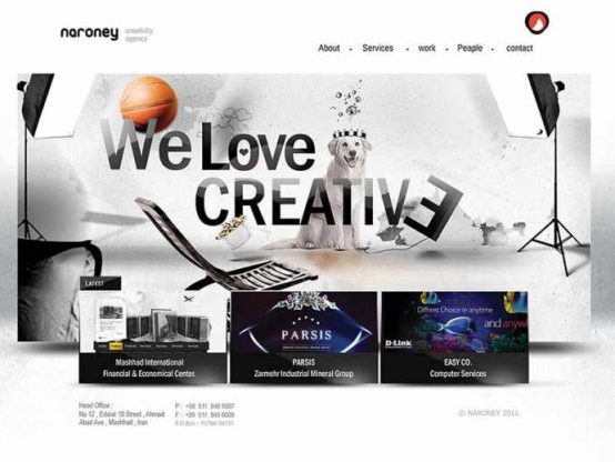 وب سایت نارونی