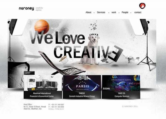 وب سایت نارونی