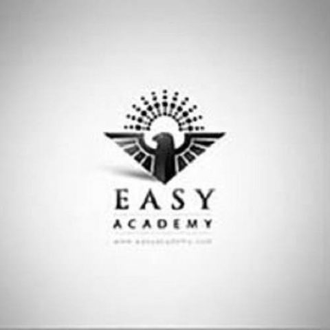 آرم آکادمی ایزی