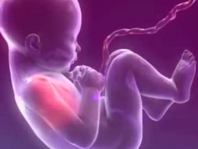 تیزر تبلیغاتی در مشهد