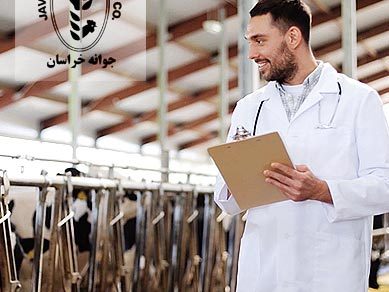 ویدئو تبلیغاتی شرکت جوانه خراسان