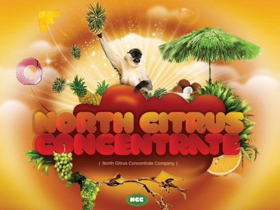 پوستر شرکت مرکبات شمال