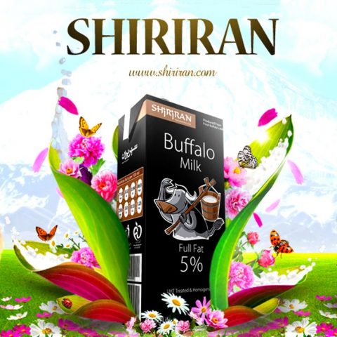 پوستر شیرایران