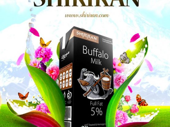 پوستر شیرایران