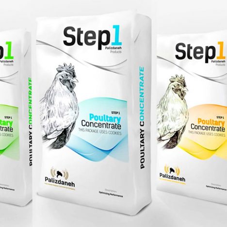 بسته بندی پالیزدانه