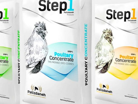 بسته بندی پالیزدانه