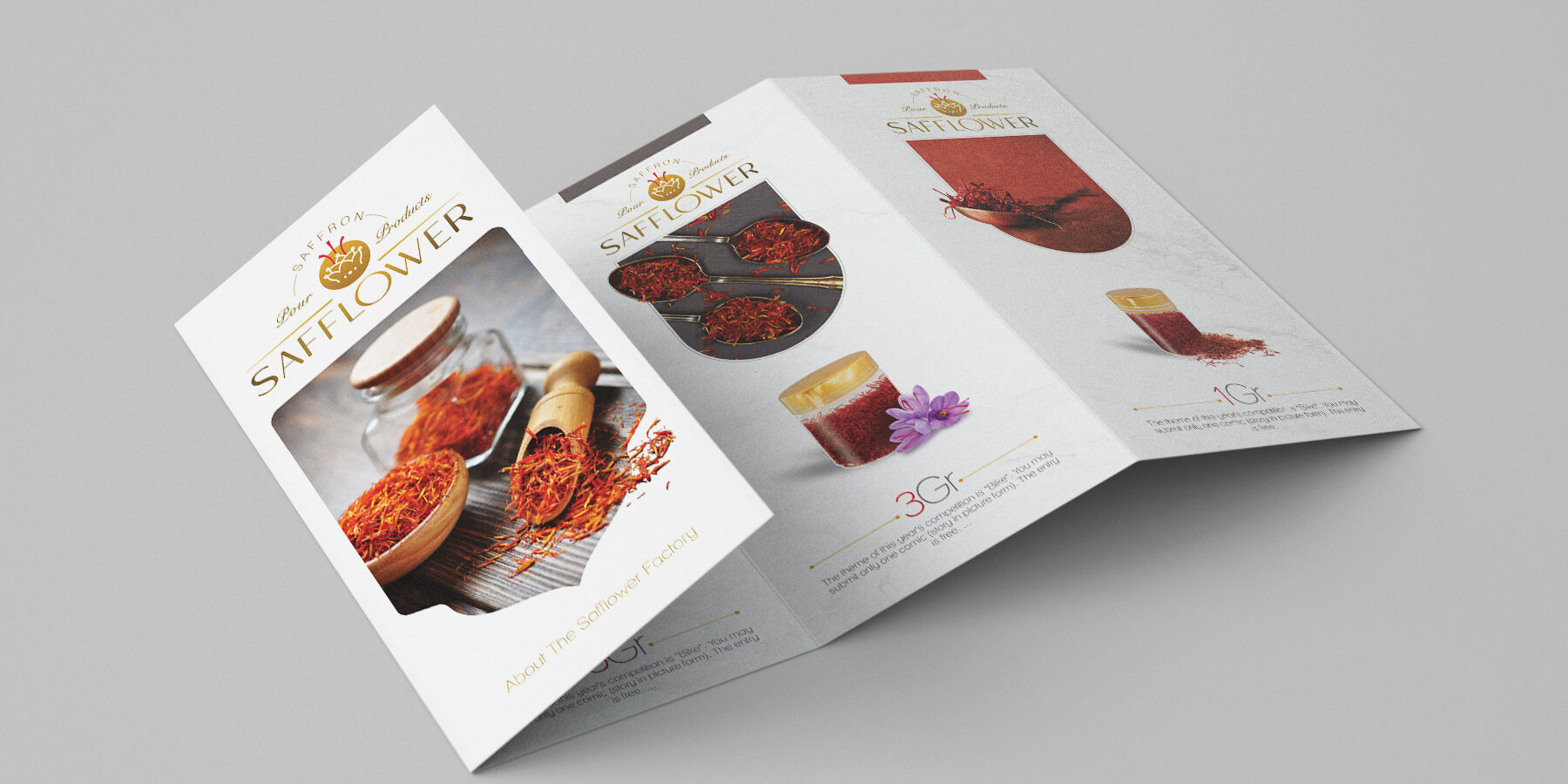 طراحی بروشور حرفه ای در مشهد